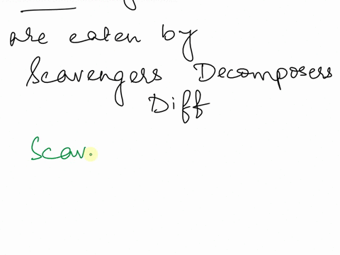 both-scavengers-and-decomposers-feed-on-the-dead-how-are-they-different-28917