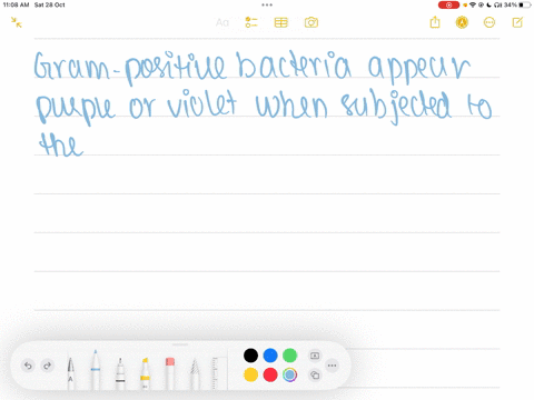 what-color-is-gram-positive-and-why