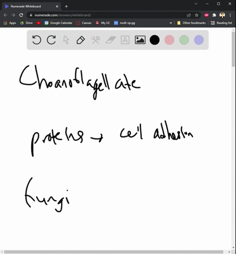 1-give-several-pieces-of-evidence-that-rna-preceded-proteins-and-dna-in-living-things-2-do-your-answers-mean-that-the-first-life-was-rna-based-with-rna-serving-as-both-the-catalyst-and-the-g-23094
