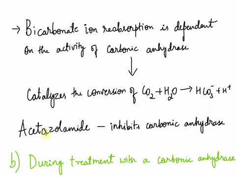 proximal-tubule-bicarbonate-ion-reabsorption-is-inhibited-in-which-of-the-following-conditions-a-during-renal-correction-of-metabolic-acidosis-b-during-treatment-with-a-carbonic-anhydrase-in-07068