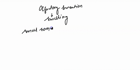 question2-1pts-the-reason-that-certain-odors-can-initiate-behavioral-and-emotional-reactions-is-because-a-o-the-olfactory-pathway-is-connected-directly-to-the-occipital-lobe-o-the-sense-of-o-28817