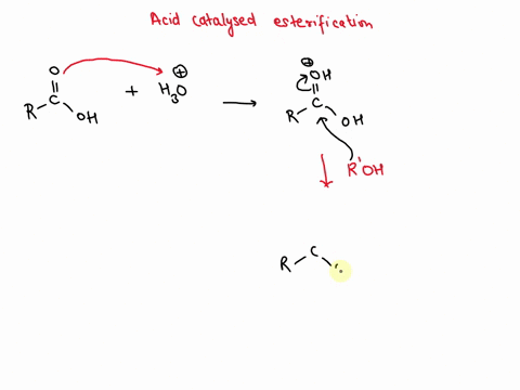 the-acid-catalyzed-esterification-of-a-carboxylic-acid-is-a-reversible-reaction-that-eventually-ends-up-in-equilibrium-explain-why-48332