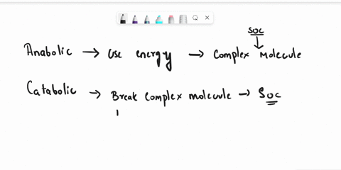 explain-the-difference-in-anabolic-and-catabolic-reactions-also-giving-an-example-of-each-then-explain-exergonic-and-endergonic-reactions-77304