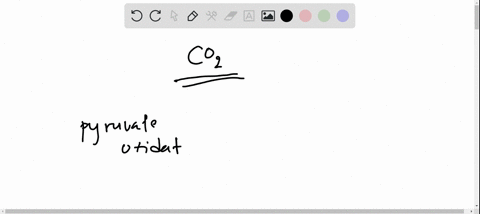which-one-of-the-stages-produces-carbon-dioxide-a-glycolysis-b-pyruvate-oxidation-c-citric-acid-cycle-d-chemiosmosis-e-citric-acid-cycle-and-pyruvate-oxidation-24944