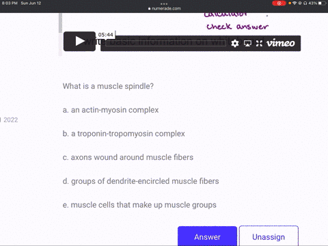 what-is-a-muscle-spindle-a-an-actin-myosin-complex-b-a-troponin-tropomyosin-complex-c-axons-wound-around-muscle-fibers-d-groups-of-dendrite-encircled-muscle-fibers-e-muscle-cells-that-make-u-81386
