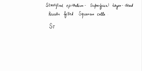 a-stratified-epithelium-with-superficial-layers-of-dead-keratin-filled-squamous-cells-is-a-___-epithelium-97632