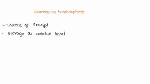 which-sugar-is-a-component-of-adenosine-triphosphate-67764
