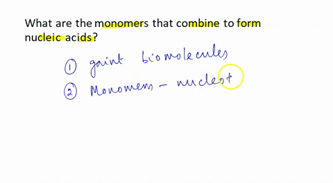 dna-rna-what-are-the-monomers-called-that-combine-to-form-nucleic-acids-what-are-the-3-basic-component-of-every-nucleotide-what-is-the-difference-between-nucleoside-and-a-nucleotide-list-the-58764