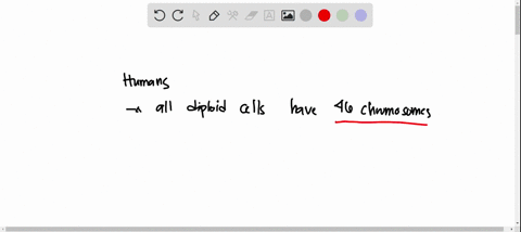 question-4-2-pts-within-an-organism-what-makes-one-cell-type-different-from-another-each-cell-type-discards-different-genes-each-cell-type-expresses-different-genes-each-gene-codes-different-28403