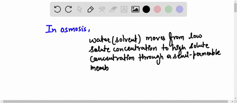 in-osmosis-two-solutions-with-different-concentrations-of-solutes-are-connected-through-a-semipermeable-membrane-what-type-of-molecules-move-through-the-membrane-and-in-which-direction-how-d-47452
