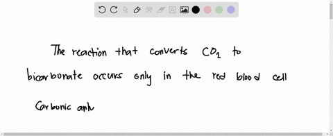 which-of-the-following-statements-about-carbon-dioxide-transport-in-the-blood-is-true-the-reaction-that-converts-carbon-dioxide-to-bicarbonate-is-irreversible-the-reaction-that-converts-carb-71564