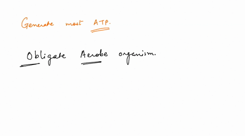 which-of-the-following-would-generate-the-most-atp-assume-complete-oxidation-of-all-molecules-under-aerobic-conditions-in-an-obligate-aerobe-a-a-triglyceride-with-three-14-carbon-chainsb-rib-23792