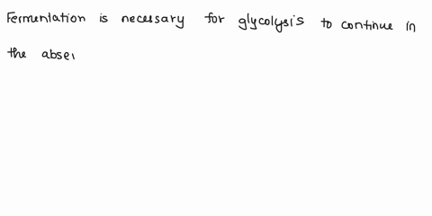fermentation-permits-the-continued-extraction-of-energy-from-glucose-in-the-absence-of-oxygen-if-glu-13203