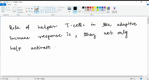 what-is-the-role-of-helper-t-cells-in-the-adaptive-immune-response-13938