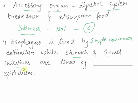 16-this-brainstem-center-bears-the-primary-responsibility-for-generating-the-respiratory-rhythm-but-is-influenced-by-several-other-centers-aventral-respiratory-group-b-dorsal-respiratory-gro-41152