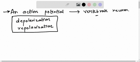how-does-an-action-potential-occur-in-a-vertebrate-neuron-what-are-the-roles-of-schwann-cells-sodium-potassium-pumps-nak-atpase-voltage-gated-potassium-channels-voltage-gated-sodium-channels-54109