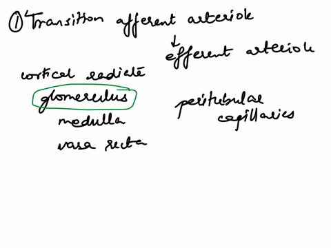 3-3in-regards-to-gustation-a-describe-the-structure-of-gustatory-receptors-b-describe-the-cellular-processes-that-occur-when-an-odorant-molecule-is-bound-by-a-gustatory-receptor-leading-up-t-41762