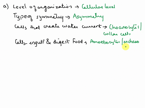 sponges-writc-the-termn-that-matches-the-phrase-level-of-organizalion-type-of-symmetry-cells-that-create-the-water-eurtent-cells-that-engulf-and-digest-food-skeletal-clements-of-sponges-trac-42234