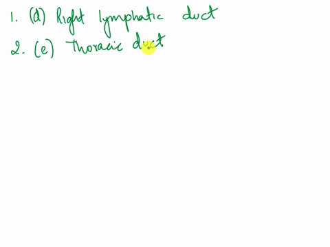 matching-exercise-match-term-from-the-word-bank-to-the-be-used-more-than-once-correct-sentence-some-terms-may-lymphatic-capillaries-lymphatic-vessels-lymphatic-trunks-right-lymphatic-duct-th-64806