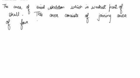 what-area-of-the-axial-skeletal-system-of-a-human-is-the-weakest-why-31653