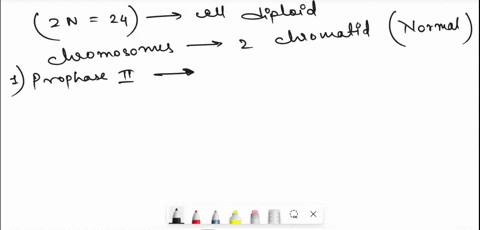 make-sure-you-label-your-answers-eg-12a-answer-12b-answer-etc-otherwise-there-will-be-no-credit-12-for-the-question-below-you-determine-that-the-cells-of-species-z-contain-a-total-of-24-chro-55782