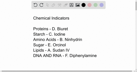 match-the-following-molecules-with-the-corresponding-test-reagents-that-are-used-to-identify-them_-also-indicate-the-positive-test-color-and-what-reagent-component-reacts-with-what-specific-73676