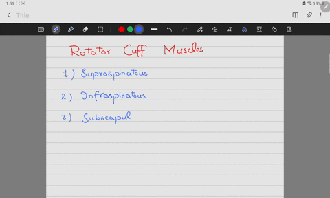 name-the-four-rotator-cuff-muscles-and-describe-the-scapular-surfaces-against-which-they-lie-56914