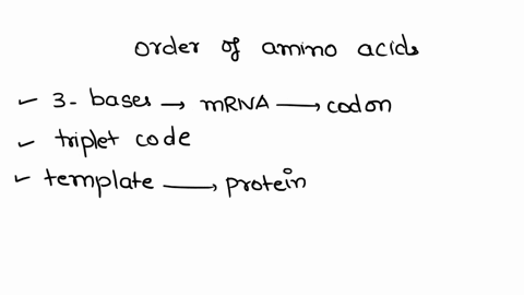 help-plz-13-points-what-does-the-order-of-amino-acids-after-translation-determine-79685