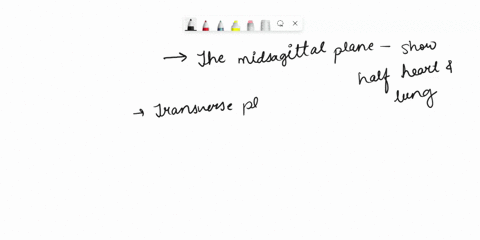 explain-in-a-general-way-how-a-view-of-the-thoracic-cavity-along-the-midsagittal-plane-would-differ-from-a-view-of-the-thoracic-cavity-along-a-transverse-plane-29248