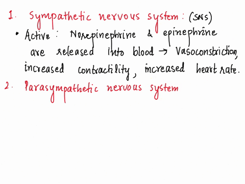 the-heart-rate-is-controlled-by-the-autonomic-nervous-system-the-system-has-sympathetic-and-parasympathetic-branches-describe-the-various-factors-influencing-these-branches-and-why-it-is-log-72585