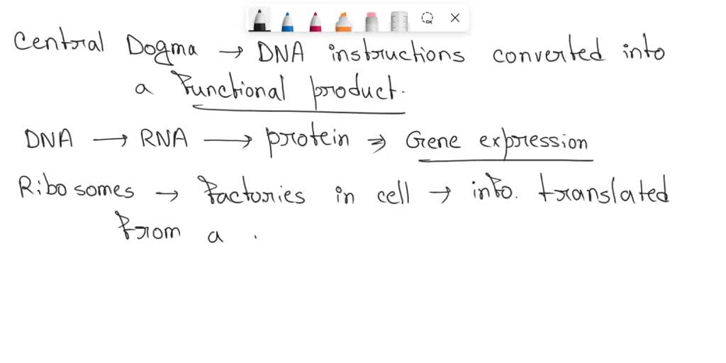 solved-dna-to-protein-question-central-dogma-of-molecular-biology