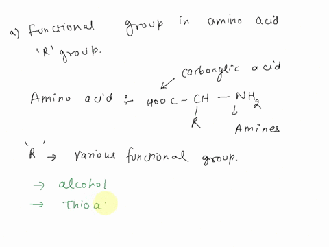 1-what-are-the-characteristic-functional-groups-of-an-amino-acid2-name-four-functional-groups-found-in-the-r-groups-of-amino-acids3-what-are-the-characteristic-bonds-in-proteins-22193