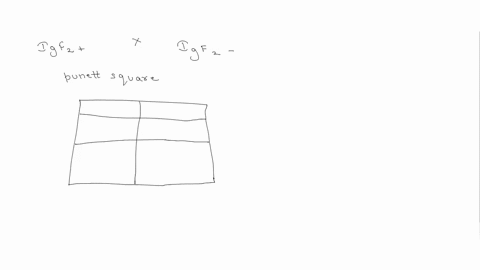 fill-in-the-punnett-square-to-determine-the-outcome-of-a-cross-between-a-heterozygous-female-igf2-igf2-and-a-homozygous-male-for-the-mutant-igf2-allele-50996