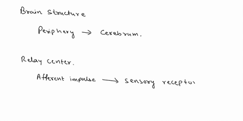 which-brain-structure-relays-sensory-information-from-the-periphery-to-higher-brain-centers-in-the-c-10884