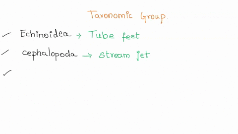 choose-the-locomotion-mode-of-each-taxonomic-group-use-once-echinoidea-choose-choose-cephalopoda-jointed-legs-polychaetas-uuscular-foot-eldiog-on-mucus-muscular-arrs-ophiuroidea-stenm-longit-44099
