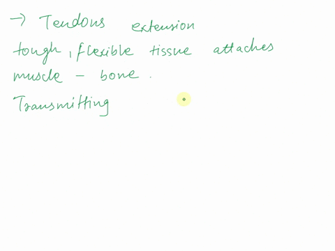 tendons-are-an-extension-of-what-part-of-a-muscle-34107