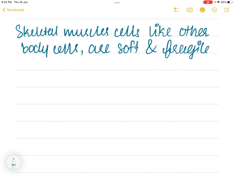 how-does-the-structure-of-the-skeletal-muscle-help-it-perform-its-function-79351
