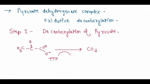 the-product-of-the-pyruvate-dehydrogenase-complex-acetyl-coa-is-released-in-step-3-of-the-overall-reaction-what-is-the-purpose-of-steps-4-and-5-select-one-the-subsequent-steps-produce-carbon-79284