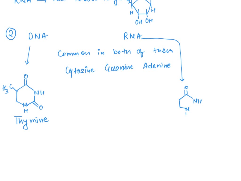 SOLVED Which statement best explains the chemical differences between