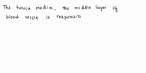 which-structural-layer-of-blood-vessels-is-most-responsible-for-maintaining-blood-pressure-59238