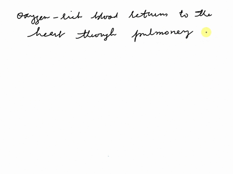 oxygen-rich-blood-returns-to-the-heart-through-the-pulmonary-vein-and-enters-the-right-atrium-truefalse-44927