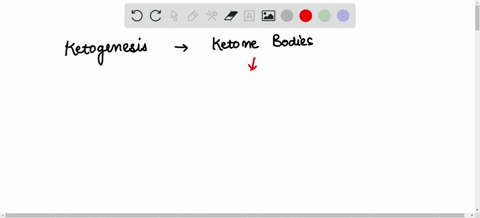 question-24-regarding-the-metabolism-of-ketone-bodies-choose-all-correct-answers-the-ketogenesis-is-the-formation-of-ketone-bodies-the-synthesis-of-ketone-bodies-is-catalyzed-by-the-fatty-ac-46615