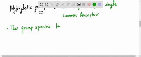 what-is-polyphyletic-group