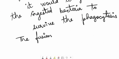 suppose-that-a-bacterial-cell-is-taken-in-by-a-phagocyte-once-inside-the-phagosome-never-fuses-with-the-lysosome-this-would-cause-the-ingested-bacterium-to-die-quicker-or-possibly-survive-th-33693