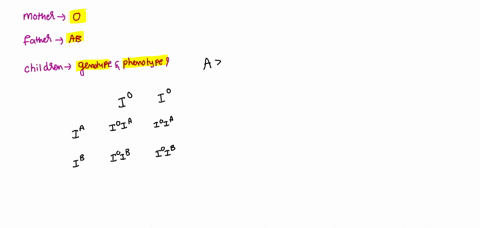 this-case-involves-the-abo-blood-group-we-know-that-the-a-and-b-alleles-are-co-dominant-and-both-are-dominant-to-the-o-allele-what-would-be-the-potential-genotypes-and-phentoypes-of-the-chil-79913