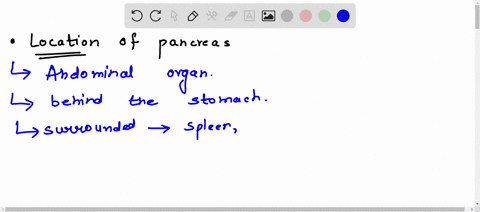 describe-the-anatomic-location-of-the-pancreas-relative-to-the-other-organs-in-the-upper-portion-of-the-abdominal-cavity-95977