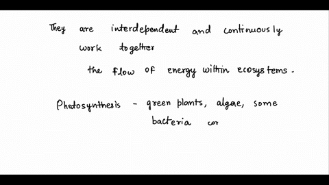 please-write-a-300-word-essay-on-thisdiscuss-why-photosynthesis-and-cellular-resperation-can-be-described-as-a-cycle-please-introduce-the-topic-include-facts-with-concrete-detail-provide-in-37468