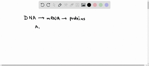 which-of-the-following-is-false-about-the-universal-genetic-code-athe-number-of-amino-acids-is-greater-than-the-number-of-codons-bthe-universal-genetic-code-is-implemented-during-the-process-23054