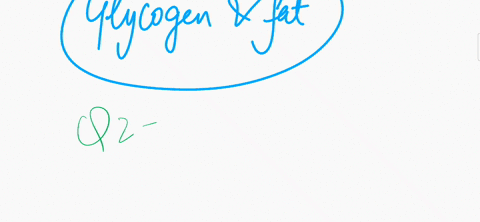 1-energy-is-stored-in-the-body-as-glucose-glucose-and-glycogen-glycogen-and-fat-glucose-and-fat-2-when-blood-sugar-rises-after-a-meal-the-pancreas-releases-insulin-this-causes-cells-to-take-01383