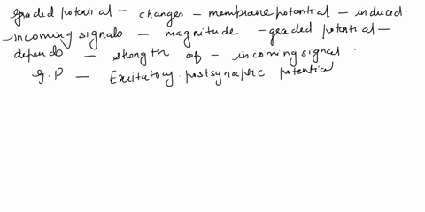 multiple-graded-potentials-are-integrated-in-the-axon-hillock-trigger-zone-15-what-happens-when-several-graded-potentials-reach-the-axon-hillock-trigger-zone-at-the-same-time-information-giv-19663